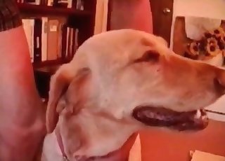 Adorable doggy enjoys ass-fuck sex with a man