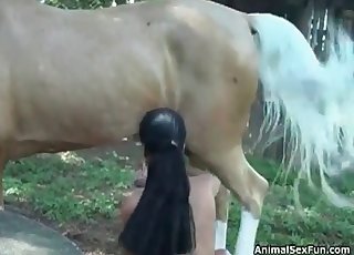 Sensual animal porn action with a pony