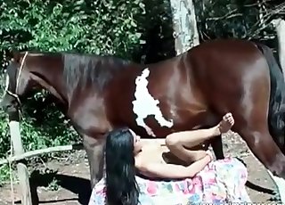 Horse adores only intensive romp