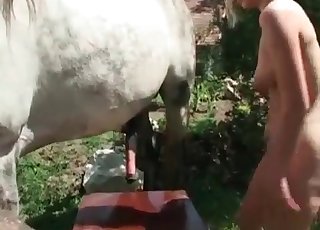 Slut used a horse dick as a sex toy