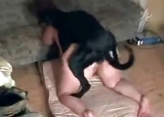 Nő döngeti a fekete kutyáját