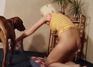 Xxx dog sex bestiality action