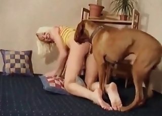 Xxx dog sex bestiality action