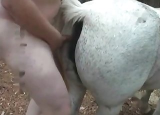 种马被一个肥胖的恋兽癖者操了