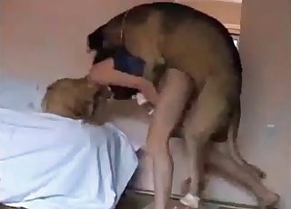 Hound's wiener is a gift for a zoofil