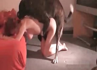 Taught dog drills her accurate twat