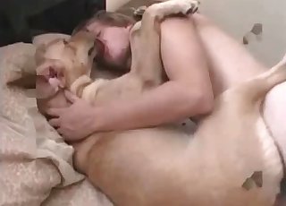 Asshole of a hound is being penetrated in the bestiality style