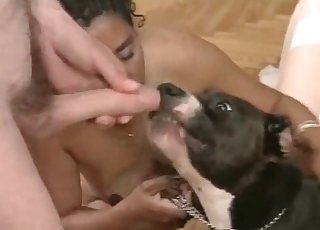 Nice tanned woman in the bestial porn