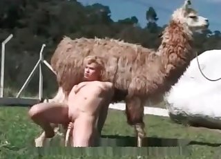 Farm animality action with a lusty whore