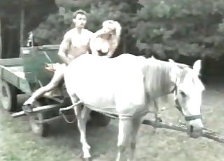 Ten kôň sa namiesto toho, aby niesol, ošuká