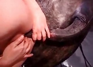 Vagina is being licked by a doggy