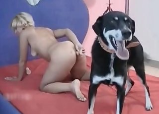 Dog fucked a fantastic milf with zeal and strength