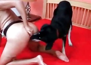 अच्छी महिला अपने काले जानवर का आनंद ले रही है