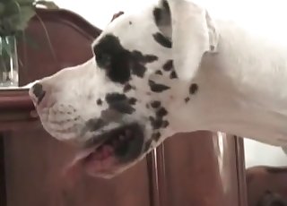 ریئر اینڈ کو اس لمبی ٹانگوں والے سنہرے بالوں والی پسند ہیں۔