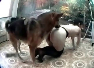 Le chien le plus vilain et le zoophile maigre et élancé