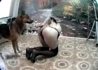 Frækkeste hund og tynd, slank zoofil