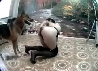 Nejzlobivější pes a hubený štíhlý zoofil