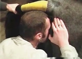 Extreme beestachtigheid in een schuur