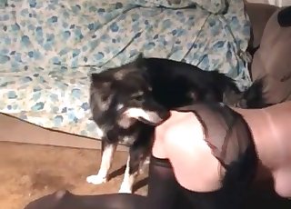 Vieze zoöfilie-actie met een Japanse achterkant