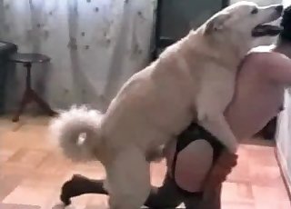 Fast sex of a black-haired and her instructed dog