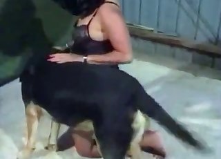 Doggy style bestiality sex with a German dog