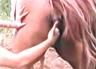 Horse is getting fingered by a zoophile
