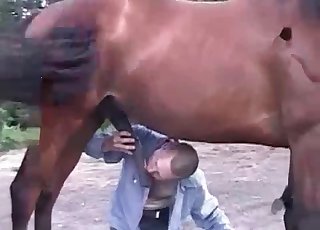 Horse is enjoying intensive oral pleasure sex