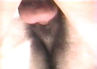 Stor hest i nærbilde