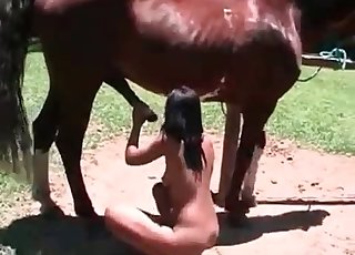 Brunette is having sex with an animal