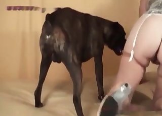 Sexy bitch is having sex with a dog