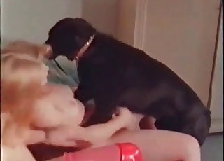Black doggy is frolicking with ﻿2 perverts