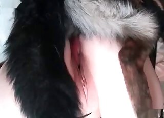 Kinky hoe and a well-endowed dog