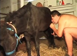 Dirty farm porn with super-hot anal smashing