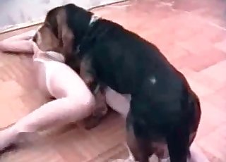 Con lai thích thú với cái lồn chặt của em bé gầy gò