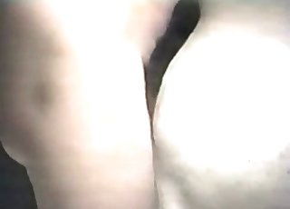 हैरान कर देने वाला एनिमल सेक्स फ़्लैश