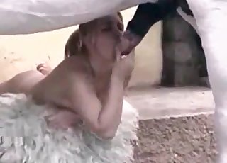 Big-titted babe loving horse cock