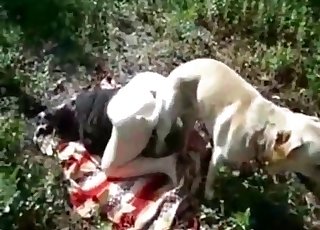 Melkachtig hondje neukt een hebzuchtige slet