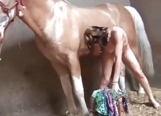 骨瘦如柴的小妞让一匹马操她