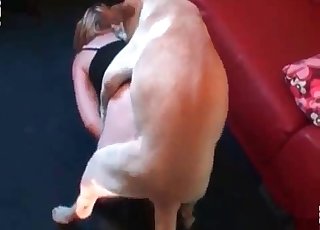 Sıkı vajinalı ve köpekli kız