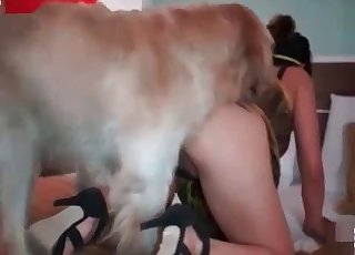 この犬は陰部を食べるのが大好き