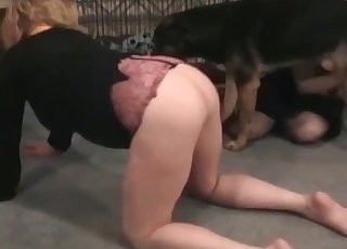 Two mature hotties fucking their dog