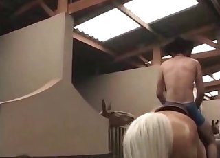 Horse’s owner getting hot sex