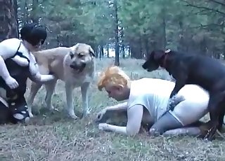 Insane animal sex with a dog