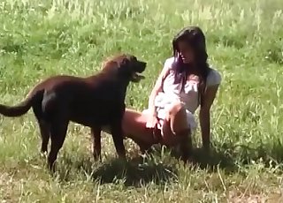 Girl fucking a chocolate-colored pup