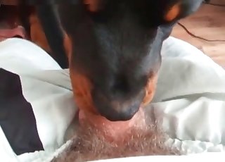 Slutty doggy-style deepthroat action