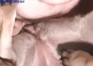 Anaali rakastelu kiimaisen metsästäjän kanssa