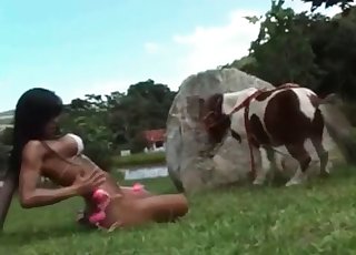 Cô nàng nóng bỏng và một chú ngựa con