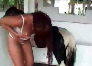 小马和女孩之间精彩的性爱