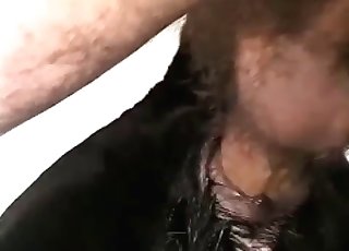 Il cane ha una violenta martellata anale