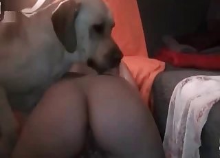 The most amazing butt and a dog